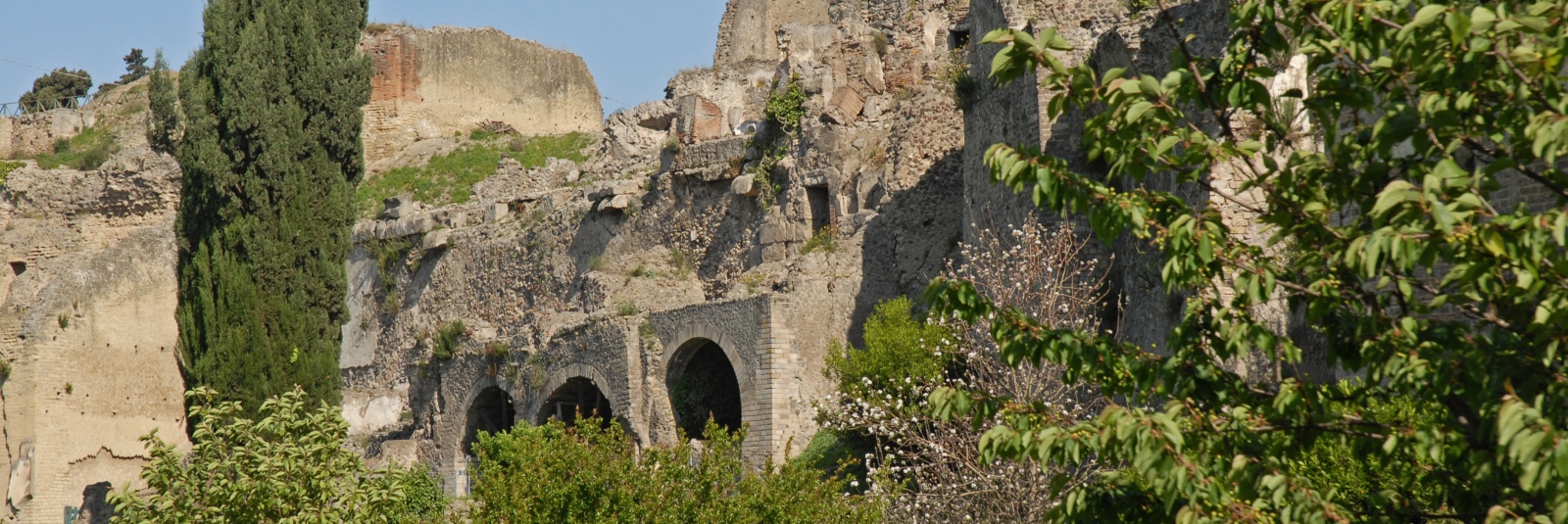 Excursie la Pompei si degustare de vinuri (plecare din Napoli)