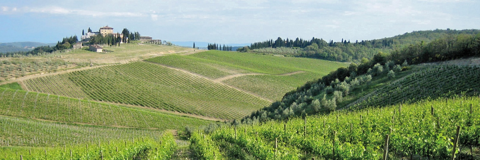 Chianti si San Gimignano - marele tur (plecare din Siena)