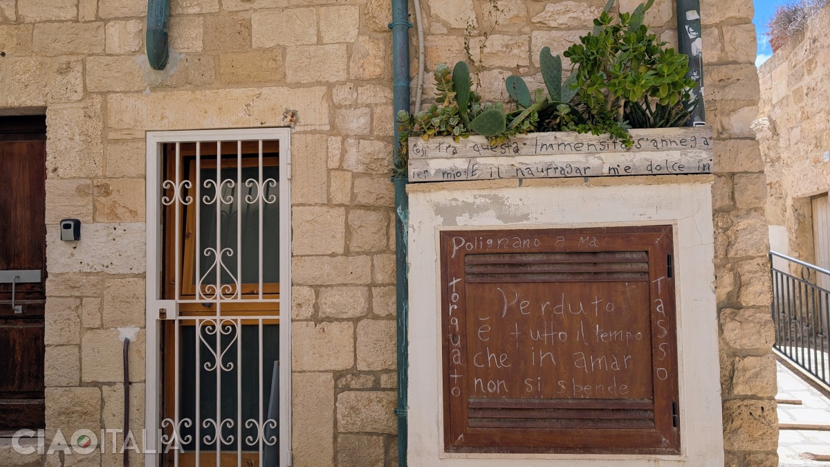 "Perduto è tutto il tempo che in amar non si spende." (Torquato Tasso) - "Pierdut este tot timpul care nu se petrece iubind."