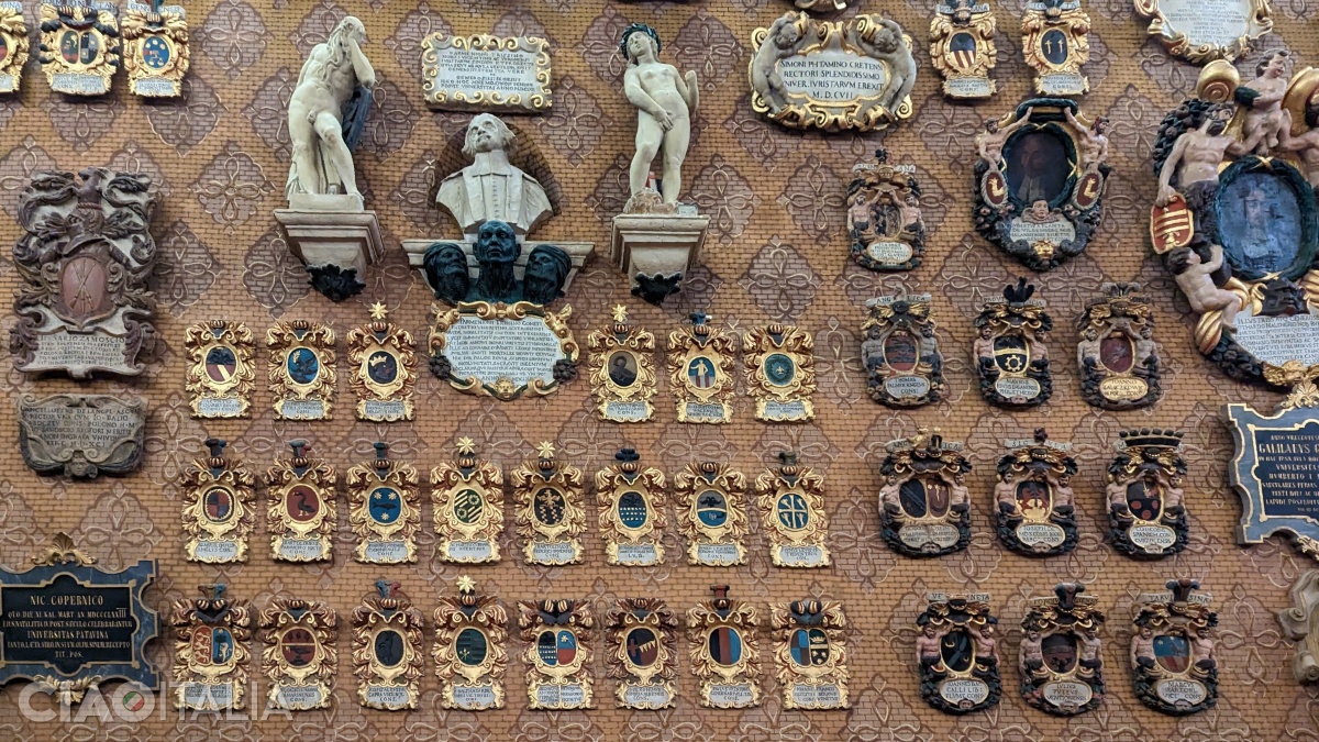 Pereții sunt decorați cu blazoane originale.