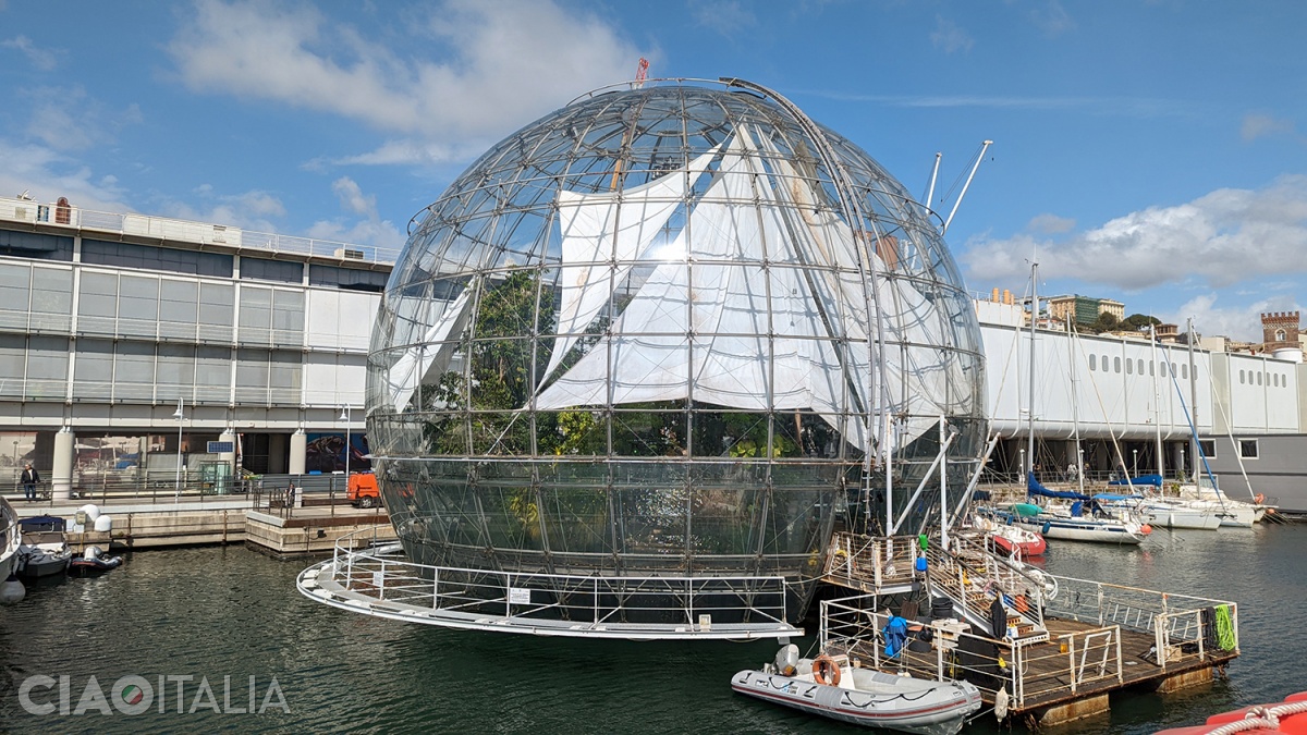 Biosfera din Genova - sfera din sticlă în care poți vedea plante și animale tropicale