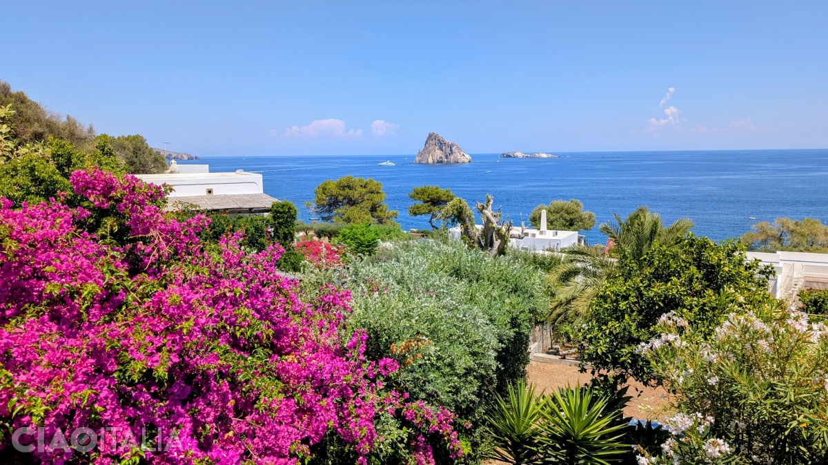 Insula Panarea este plină de flori de bougainvillea.