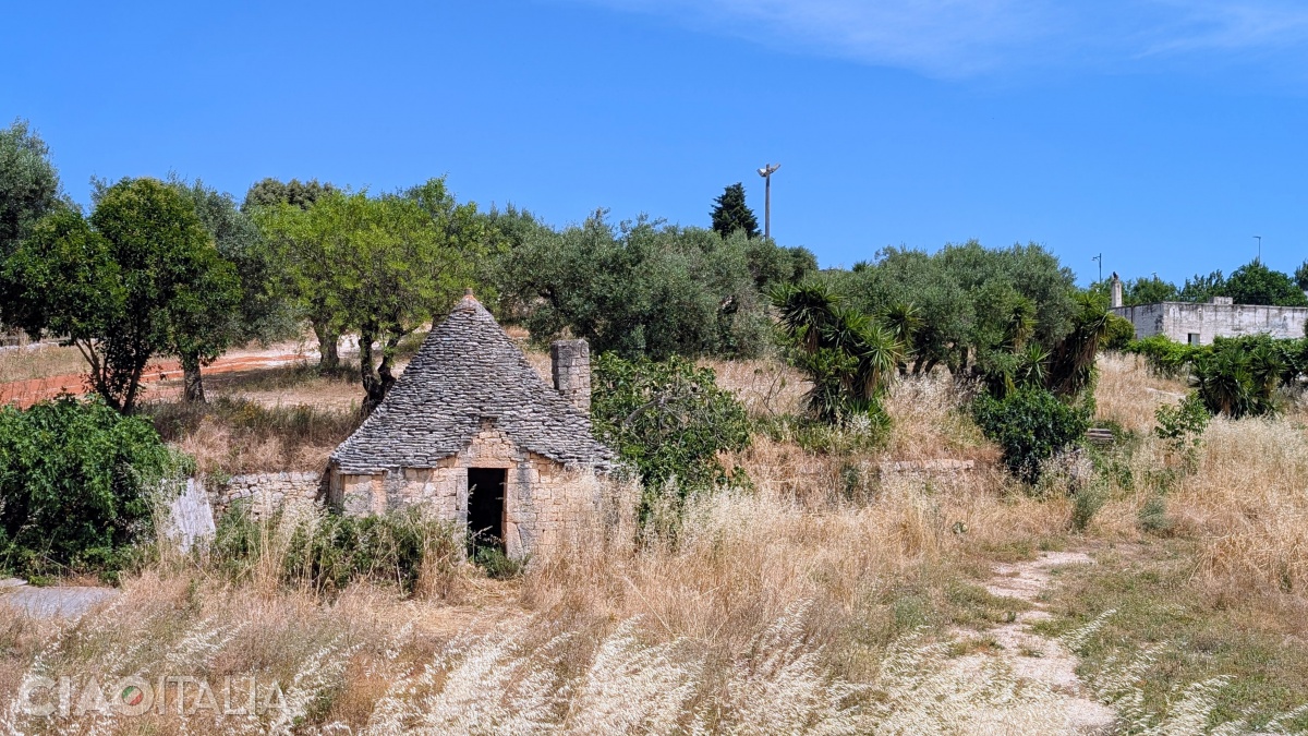 Un trullo din afara centrului istoric din Alberobello