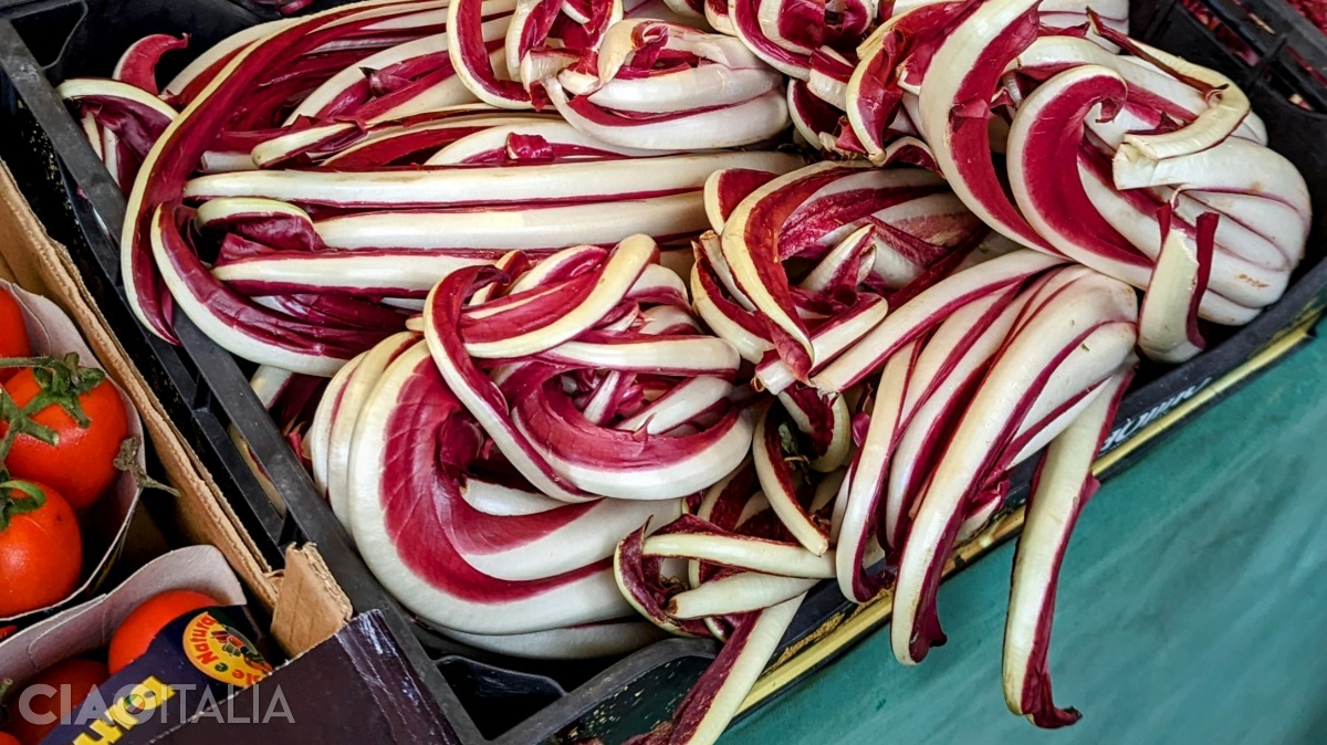 Radicchio trevisano în Piazza delle Erbe