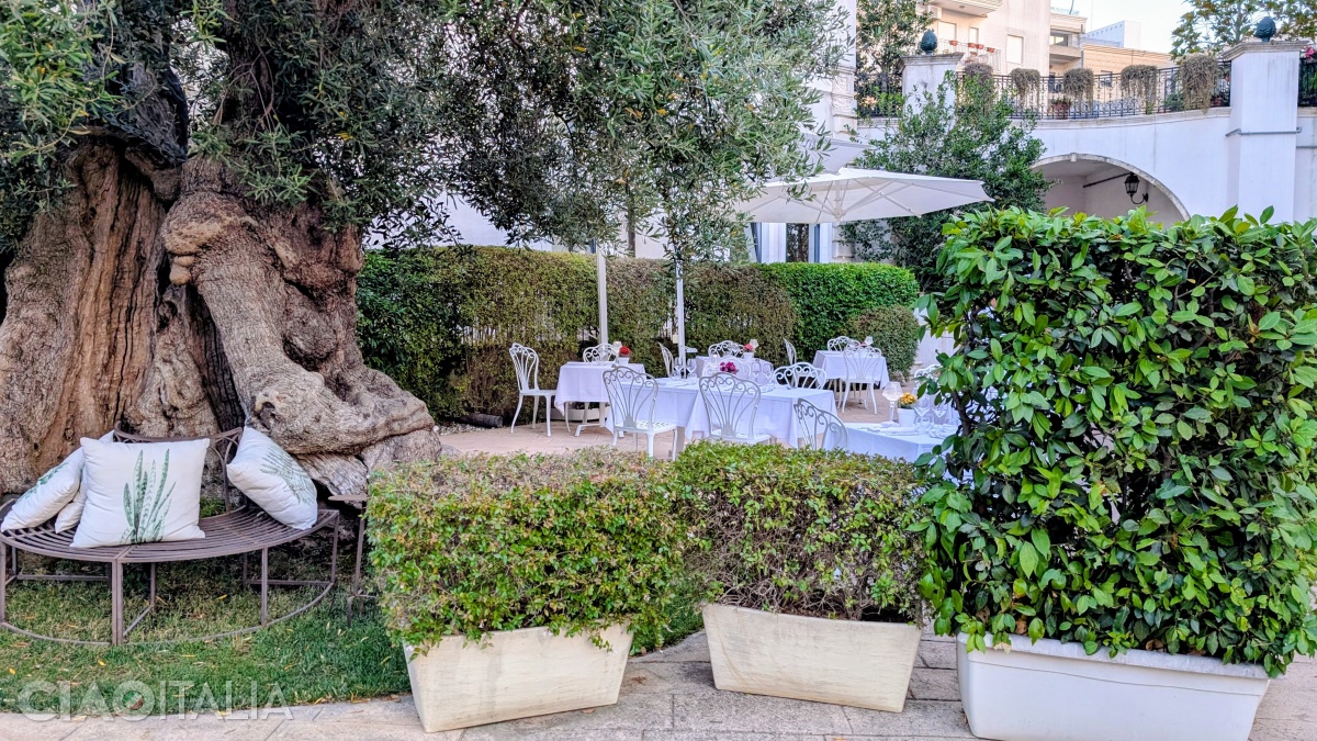 Grădina Hotelului Ostuni Palace