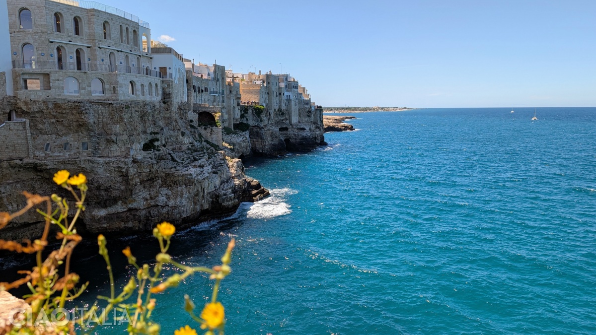 Vederea spre nord