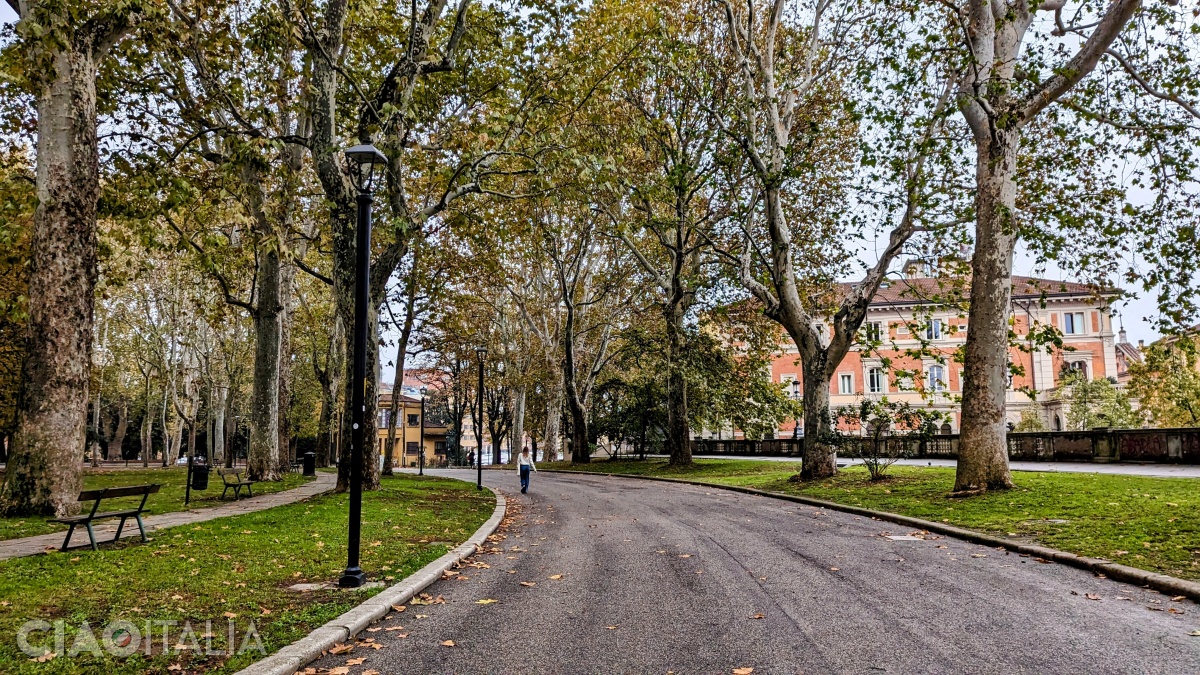 Platanii din parc au fost plantați la sfârșitul sec. al XIX-lea.