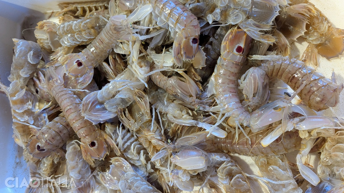 Dă o raită prin Pescar&igrave;a și vezi c&acirc;te tipuri de pește și fructe de mare poți recunoaște.