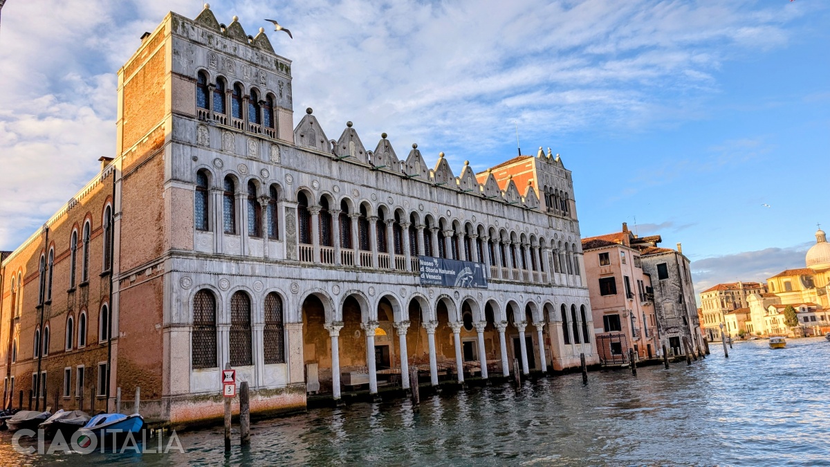 Fondaco dei Turchi (Muzeul de Istorie Naturală)