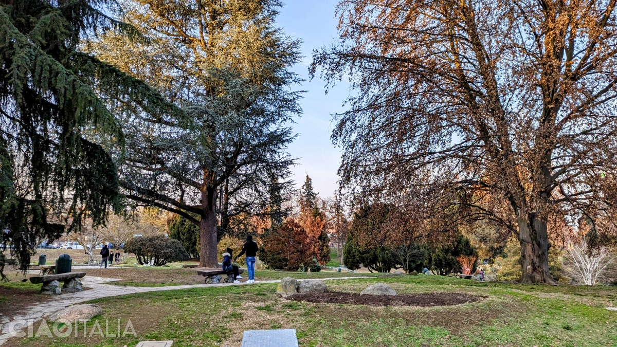 Parco del Valentino într-o zi de iarnă