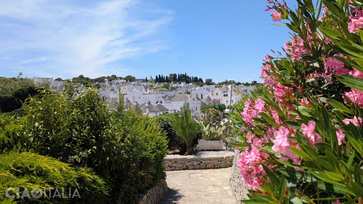 Priveliștea către trulli din Rione Monte