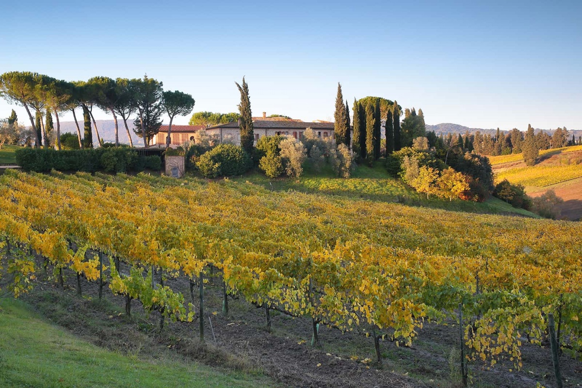 La Mormoraia este situată în mijlocul podgoriilor, lângă San Gimignano.