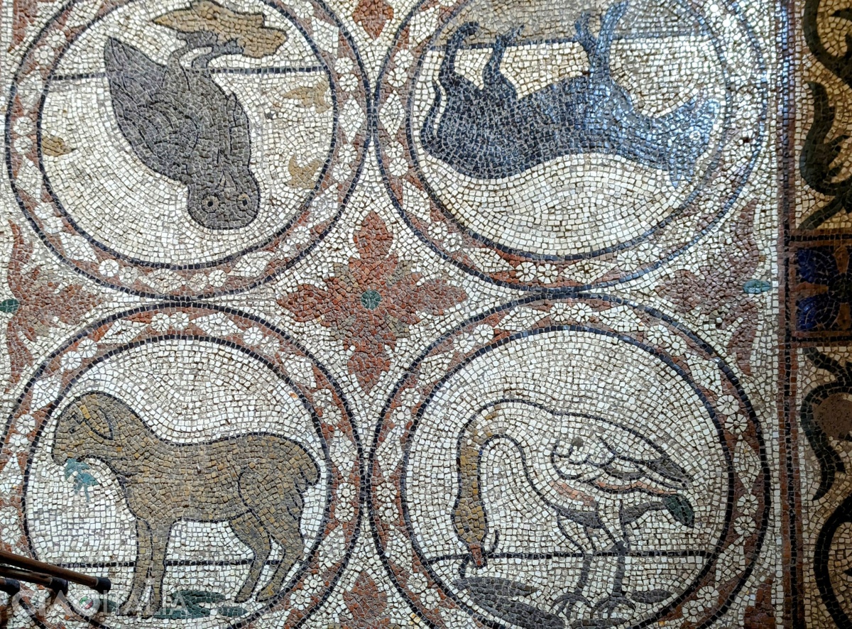 Mozaicuri cu animale, realizate pe pardoseala bisericii.