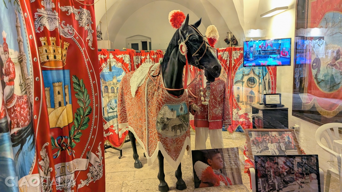 Steaguri și costumații de paradă