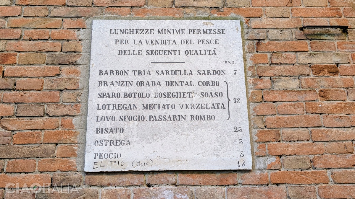 O plăcuță pe unul dintre pereți indică măsurile minime ale diferitelor tipuri de pește.