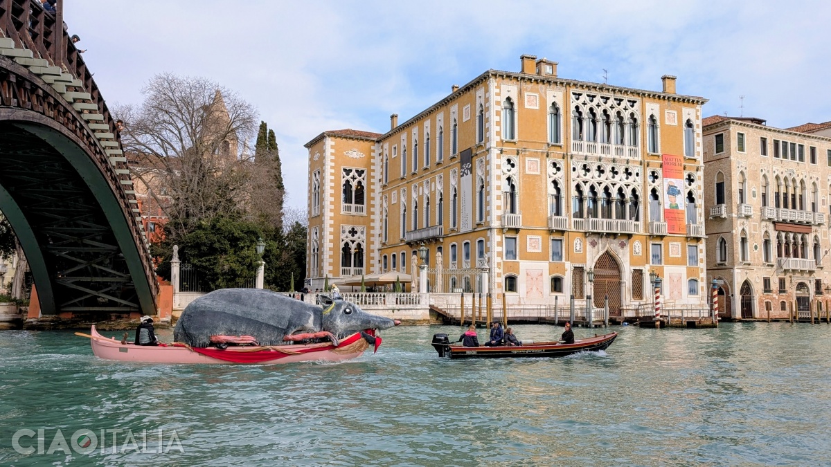 Pantegana (un șobolan uriaș) este simbolul Carnavalului popular.