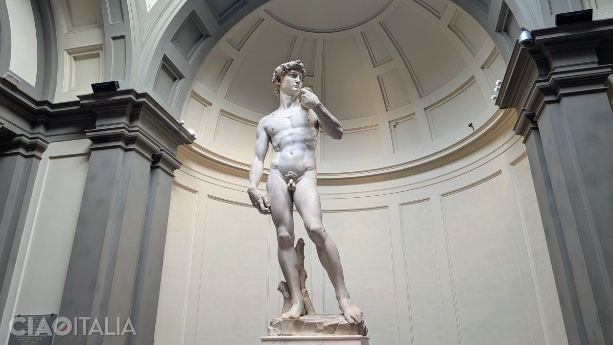 Statuia lui David ar fi trebuit să fie așezată pe unul dintre contraforții Domului din Florența.