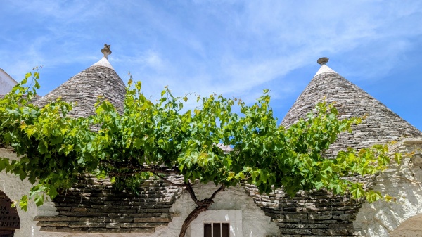 Cum ajungi din Bari &icirc;n Alberobello?