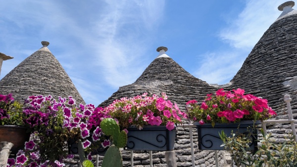 Cum ajungi de la Monopoli la Alberobello?