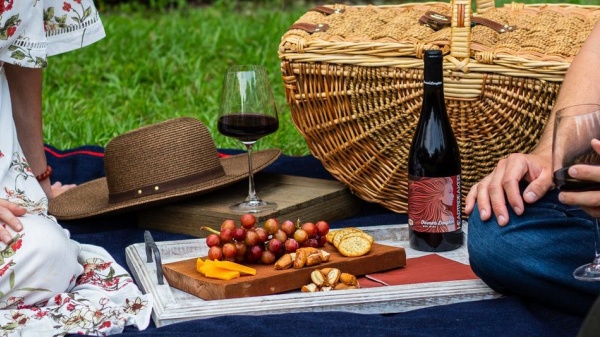 Picnic în viile din Umbria