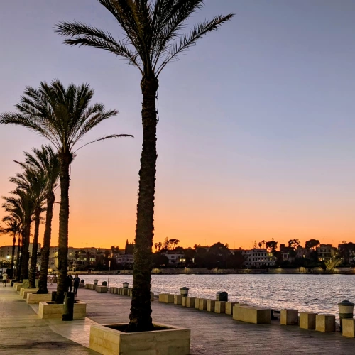 Brindisi